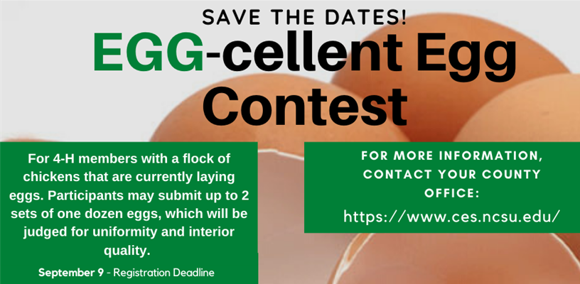 4-H Egg-Cellent Egg Contest